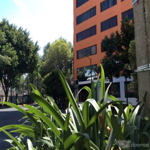 Renta de Oficinas en Penthouse — foto 3