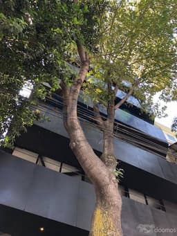 Hermoso Departamento En Guillermo Prieto 26 Col. San Rafael