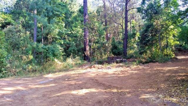 Terreno venta bosque Avandaro Valle de Bravo — foto 1