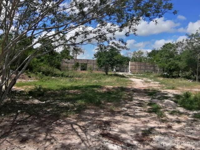 TERRENO EN LA REJOYADA (Fuera de la privada) — foto 5