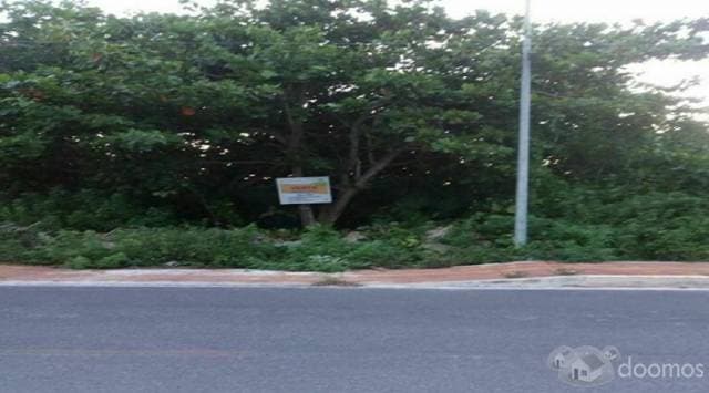 Terreno en Venta en Punta Sam — foto 4