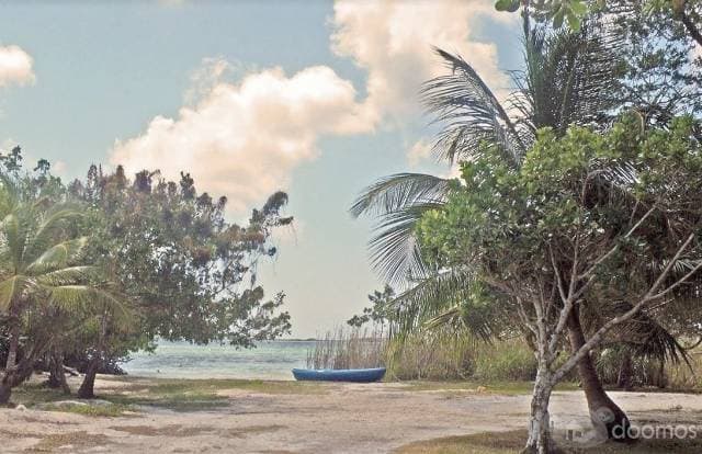 Terreno en Venta Tulum, cerca de Laguna Nopalitos — foto 3