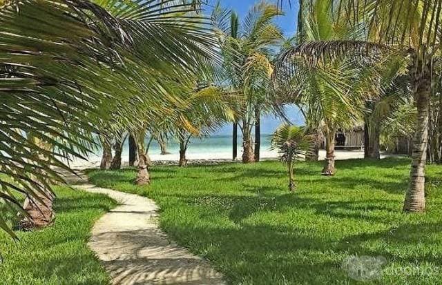 Terreno en Venta Tulum, cerca de Laguna Nopalitos — foto 5