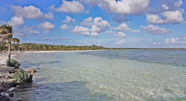Terreno en Venta Tulum, cerca de Laguna Nopalitos — foto 6
