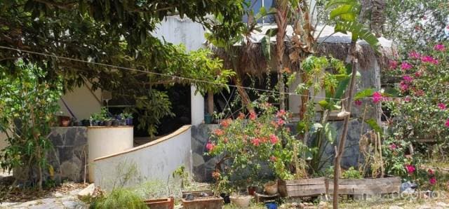 Venta Terreno con desarrollo en Tulum — foto 1