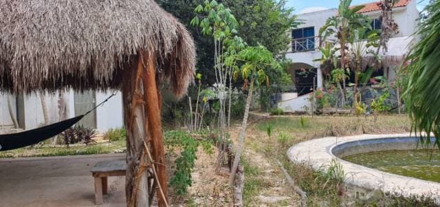 Venta Terreno con desarrollo en Tulum — foto 3