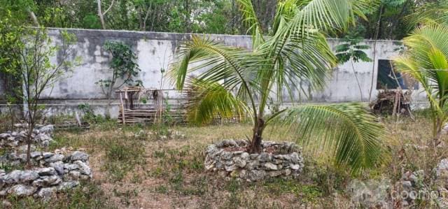 Venta Terreno con desarrollo en Tulum — foto 4