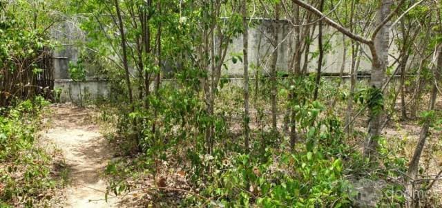 Venta Terreno con desarrollo en Tulum — foto 7