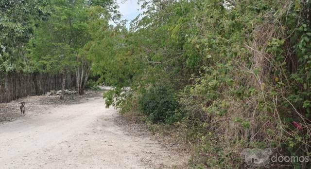 Venta Terreno con desarrollo en Tulum — foto 8
