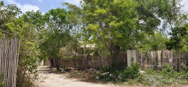 Venta Terreno con desarrollo en Tulum — foto 10