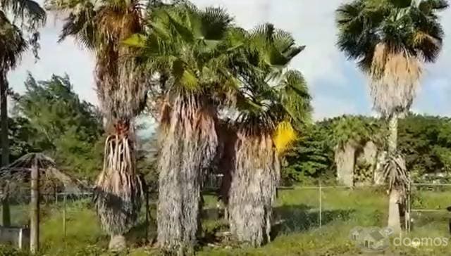 Terreno en venta en Punta Sam — foto 5