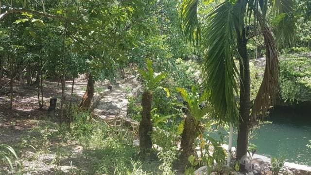Terreno con Cenote en Venta al Sur de Cancun — foto 1