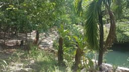 Terreno con Cenote en Venta al Sur de Cancun