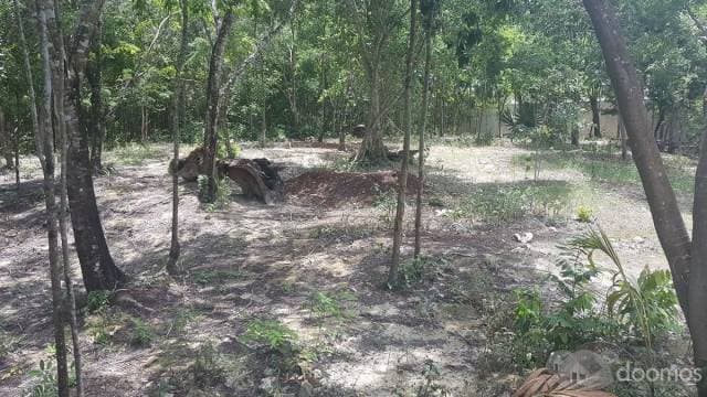 Terreno con Cenote en Venta al Sur de Cancun — foto 2