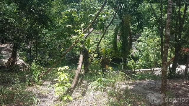 Terreno con Cenote en Venta al Sur de Cancun — foto 3
