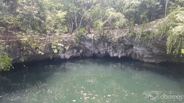 Terreno con Cenote en Venta al Sur de Cancun — foto 5