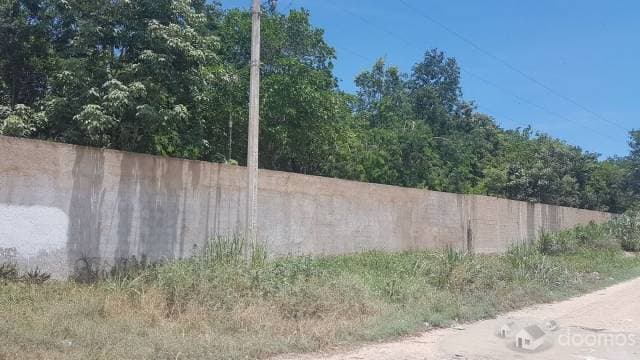 Terreno con Cenote en Venta al Sur de Cancun — foto 6