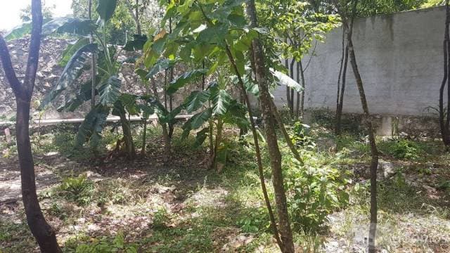 Terreno con Cenote en Venta al Sur de Cancun — foto 7