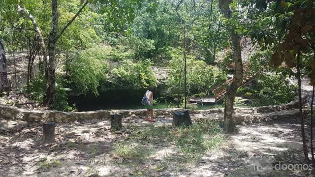 Terreno con Cenote en Venta al Sur de Cancun — foto 9