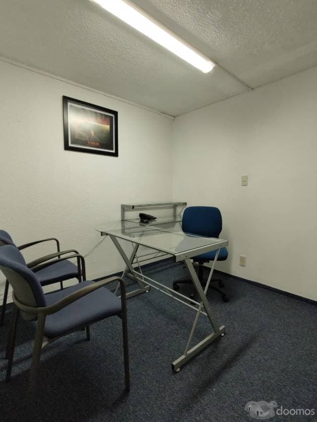 Oficinas Físicas o Virtuales en POLANCO — foto 6