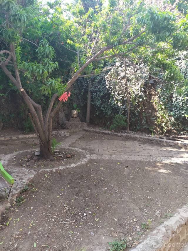 CASA en  VENTA en los REYE LA PAZ — foto 4