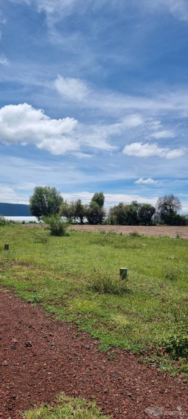 TERRENO RUSTICO EN VENTA ATLIXCO — foto 3