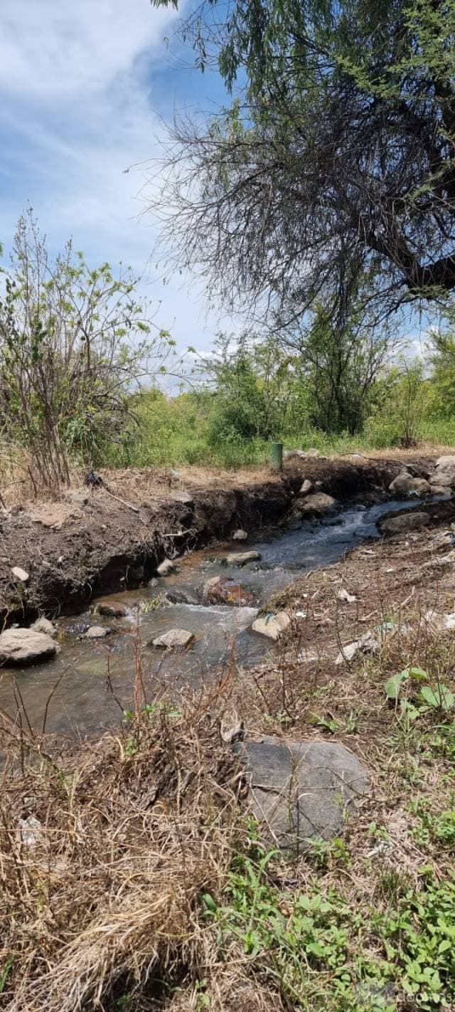 TERRENO RUSTICO EN VENTA ATLIXCO — foto 4