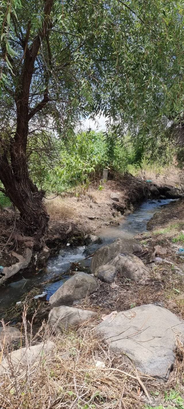TERRENO RUSTICO EN VENTA ATLIXCO — foto 5