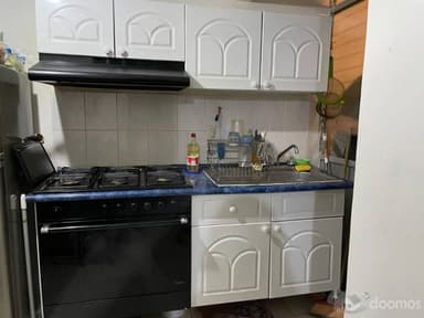 Miniatura 10