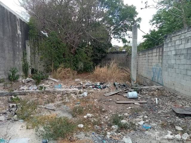 Terreno para comercio en Mérida Circuito colonias — foto 4
