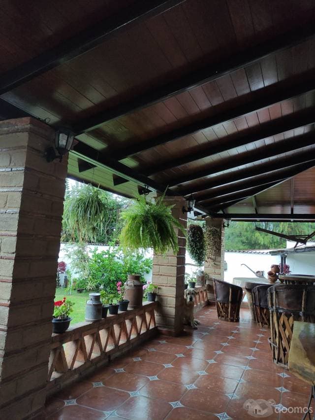 Hermosa cabaña en venta en Cofradía de Suchitlan, Comala, Colima — foto 5