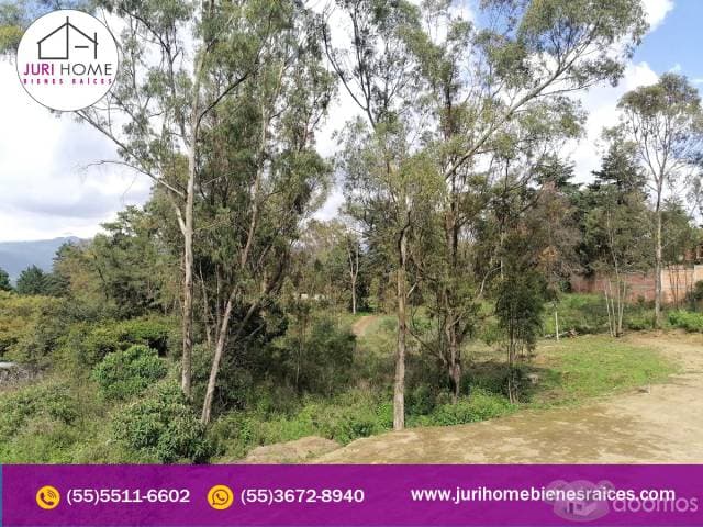 SE VENDE CASA CON AMPLIO TERRENO EN TLALMANALCO — foto 8