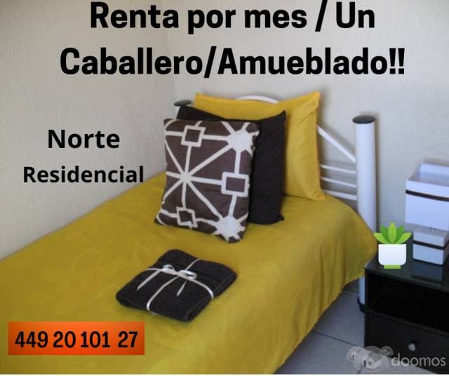 RENTA AMUEBLADO AGUASCALIENTES  /Dpto. /Norte. PARA UN CABALLERO   /Garaje/ Internet. Incluye servicios