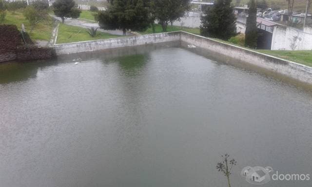 RANCHO EN VENTA EN CHAPA DE MOTA — foto 4