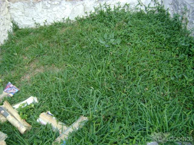 LLLLLLLLLLLLLLLL — foto 1