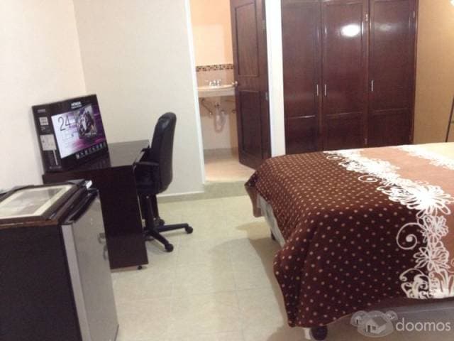 Bonita Habitación tipo hotel, ideal para ejecutivos — foto 6