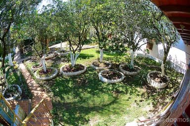 Miniatura 9