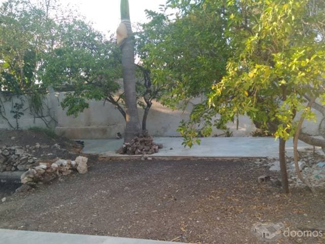 Casa Colonial en Itzimna con proyecto de piscina — foto 3