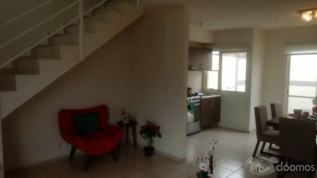 Casa Nueva — foto 4
