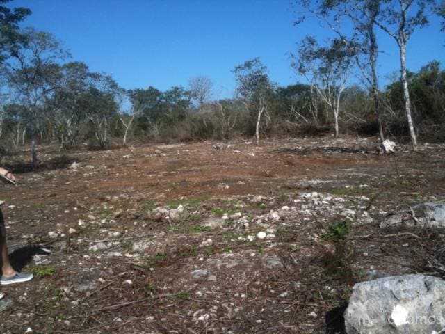 Terreno de 1000m en komchen — foto 1