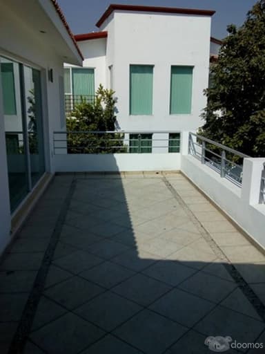 Miniatura 10