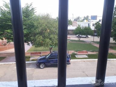 Miniatura 10