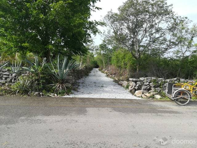 Terreno en Cosgaya-Suytuychen Mérida Norte — foto 2