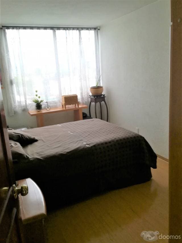 Amplia Casa — foto 8