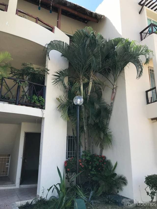 Departamentos en el centro de Playa del Carmen — foto 2