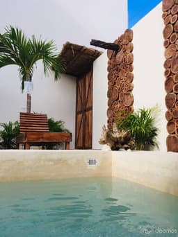 Condos Tipo Estudio de Diseñador en Renta $950 USD