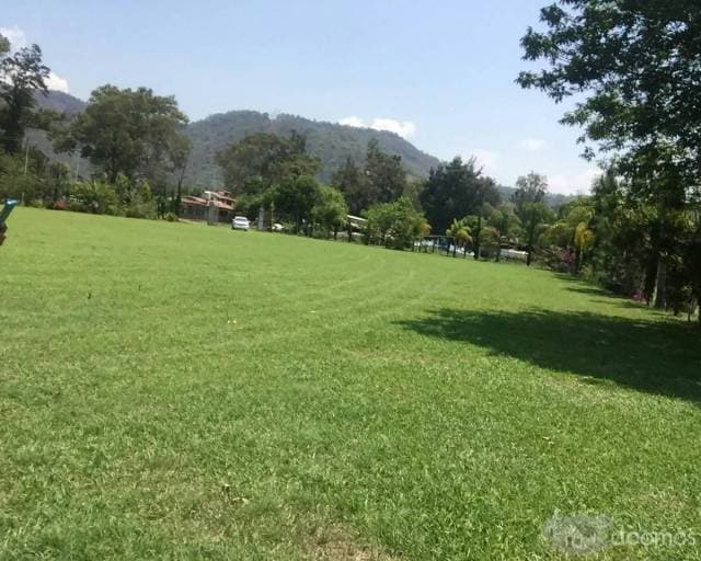 TERRENO A LA ORILLA DEL LAGO — foto 2