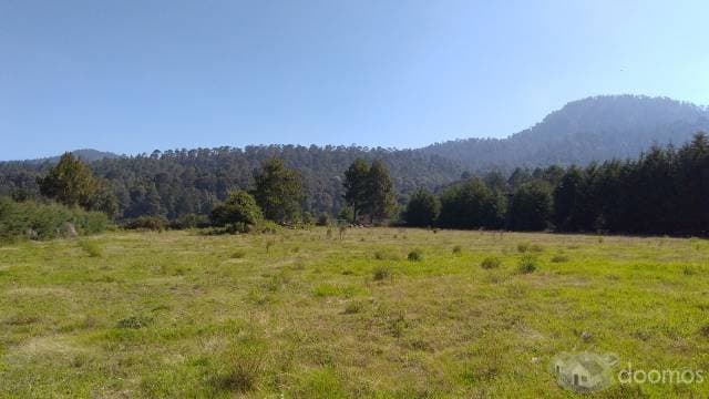 TERRENO PLANO EN LOS SAÚCOS — foto 1