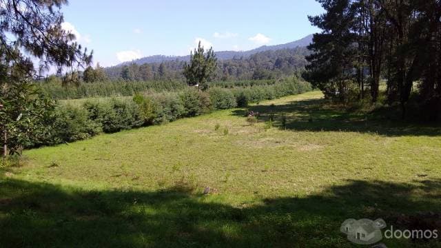 TERRENO PLANO EN LOS SAÚCOS — foto 2