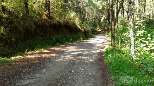 TERRENO PLANO EN LOS SAÚCOS — foto 14